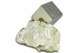 Natural Pyrite Cube In Rock - Navajun, Spain #361856-1